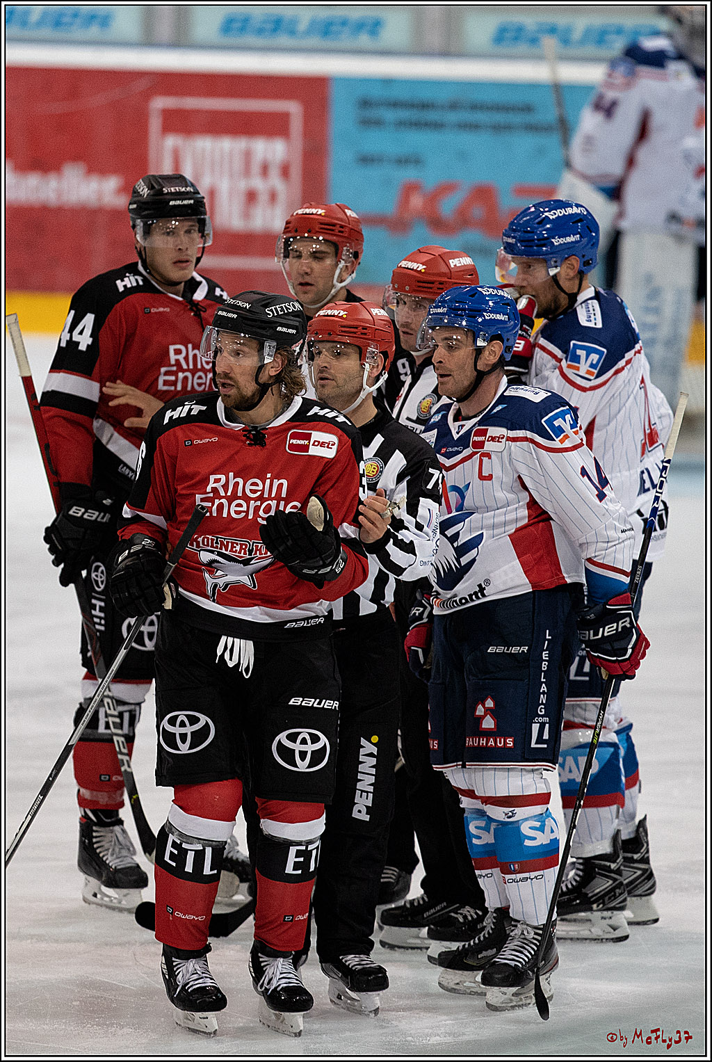 PENNY DEL;  Koelner Haie - Adler Mannheim; Koeln, 19.08.2021